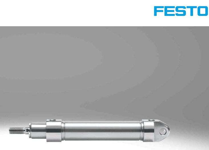Xy lanh Festo CRDSNU-12-10-P-A